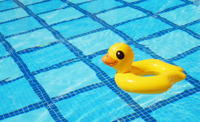 Ente im Pool